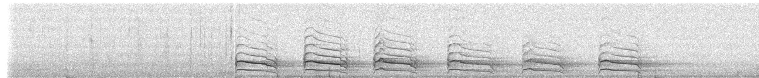 Red-shouldered Hawk - ML306229