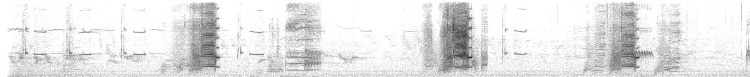 Common Grackle - ML306230