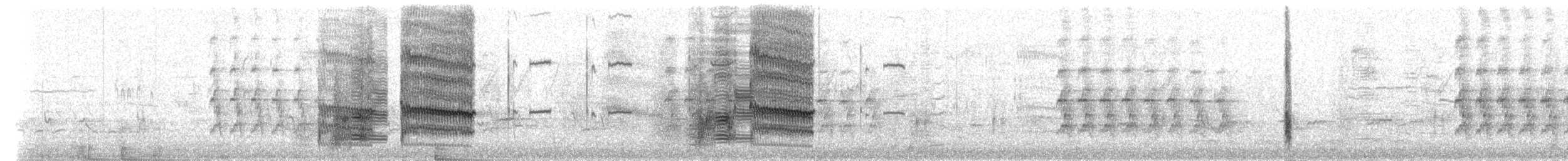 Common Grackle - ML306233