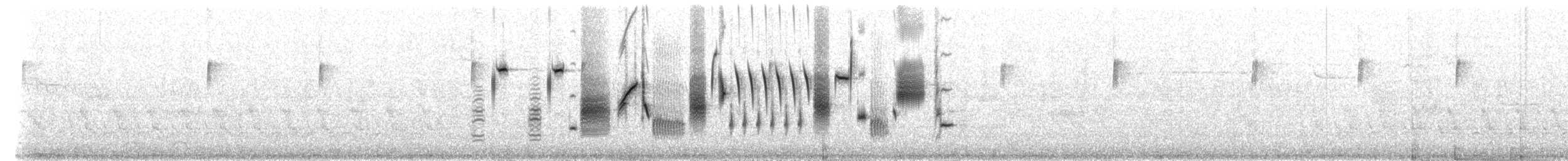 Song Sparrow - ML306235