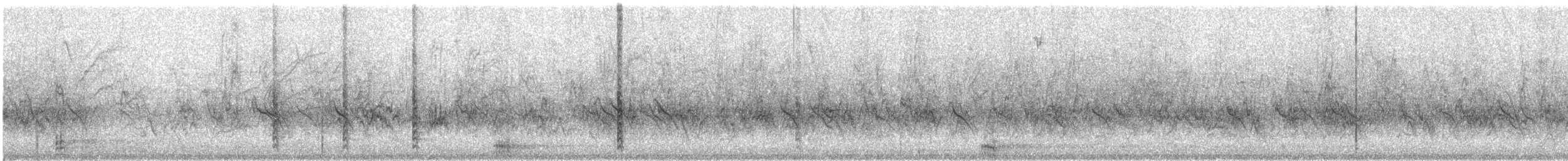 Brewer's Blackbird - ML306249461