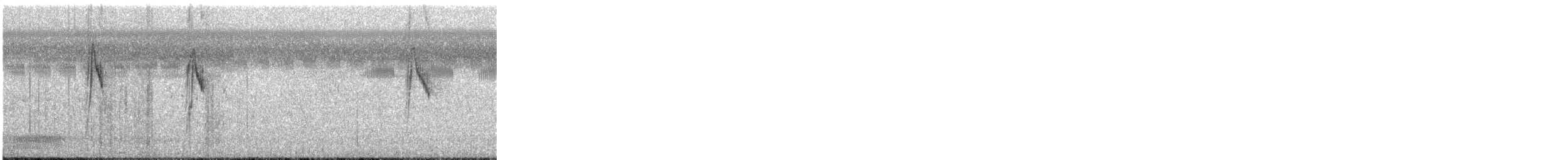 Өрнийн шар цэгцгий - ML306264371