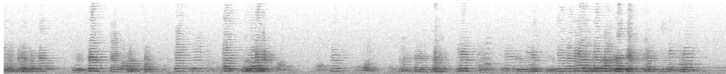 Cisne Trompetero - ML306264741