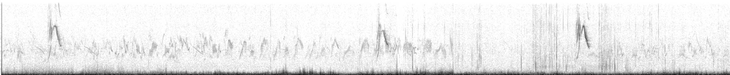 Өрнийн шар цэгцгий - ML306265811