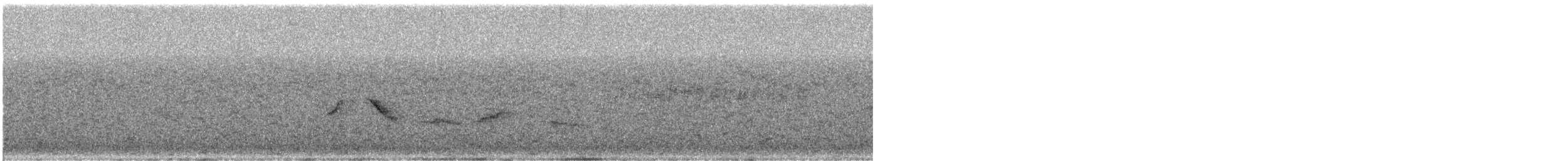 revespurv (iliaca/zaboria) (kanadarevespurv) - ML306361971