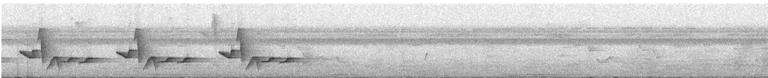 Troglodyte à calotte noire - ML306421891