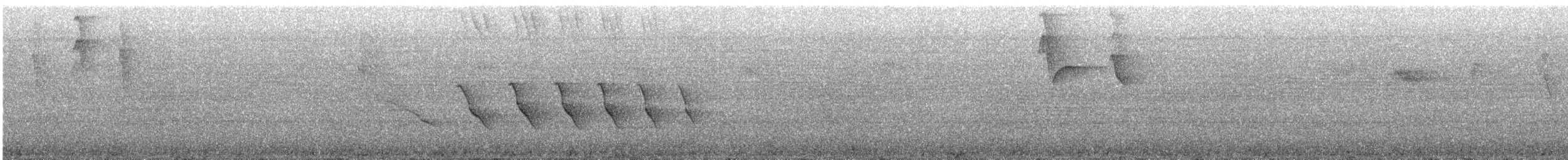 klatremaurvarsler (anabatinus gr.) - ML306434471