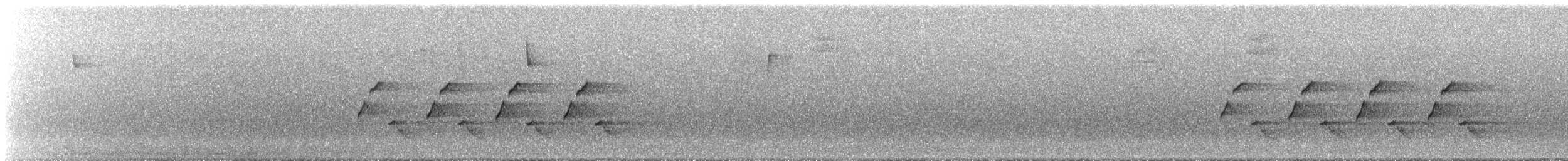 Поплітник каролінський - ML306545041