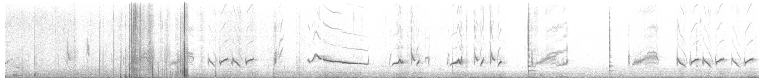 Cuitlacoche Pálido (lecontei/macmillanorum) - ML306548541
