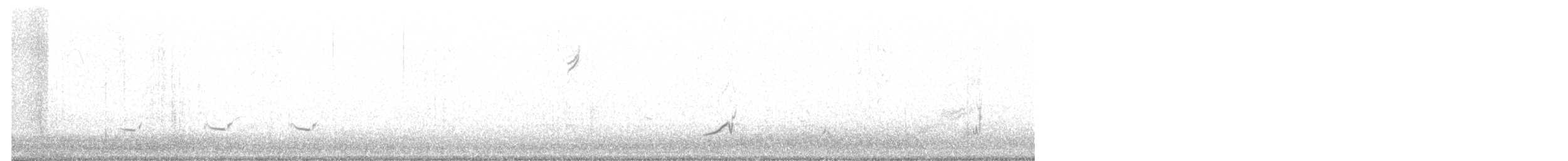 Cuitlacoche Pálido (lecontei/macmillanorum) - ML306548871