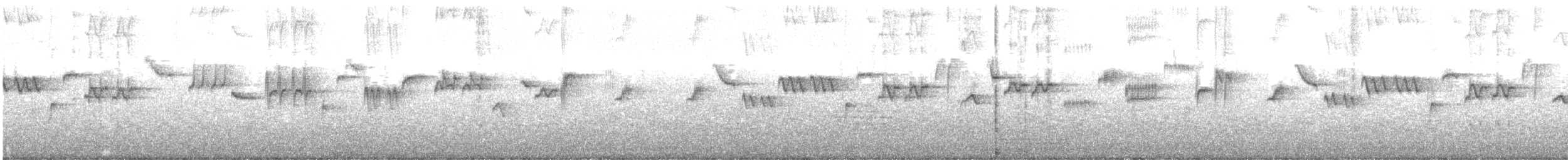 Plumbeous Redstart - ML306584431