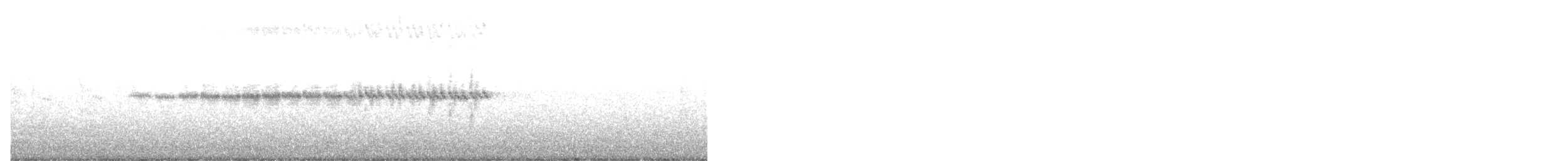 Plumbeous Redstart - ML306586141