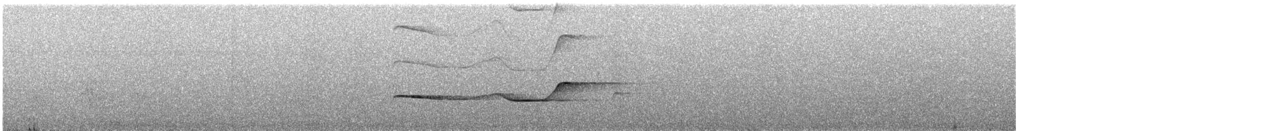 Olivaceous Schiffornis - ML306731501