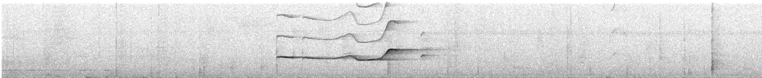 Olivaceous Schiffornis - ML306731531