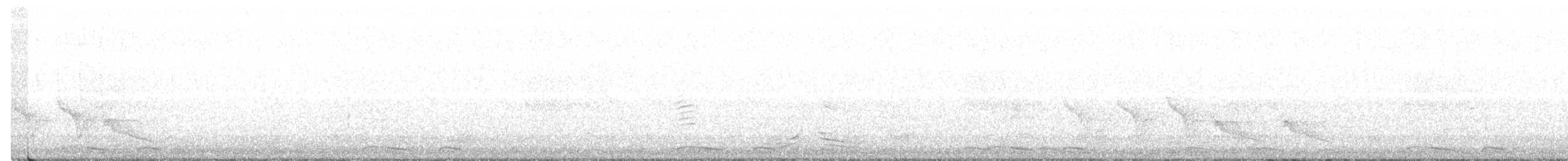 holoubek mexický - ML306735011