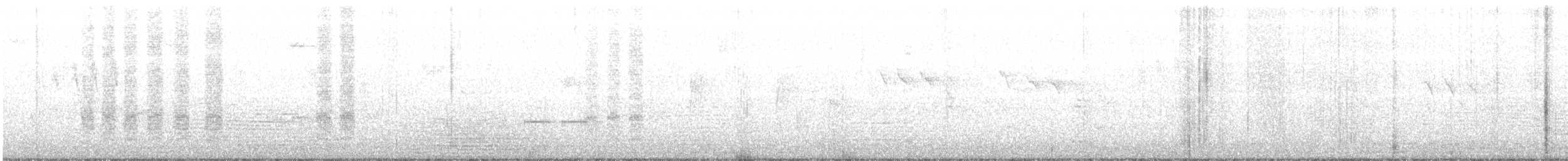 Nuttall's Woodpecker - ML306752441