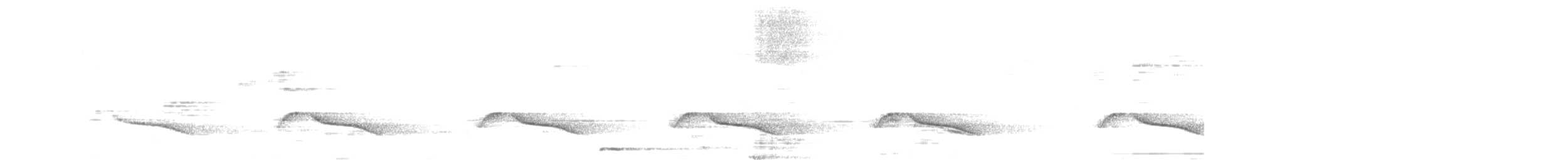 Monarque oreillard - ML306819261