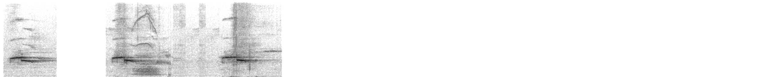 Gray-lored Broadbill - ML306914621