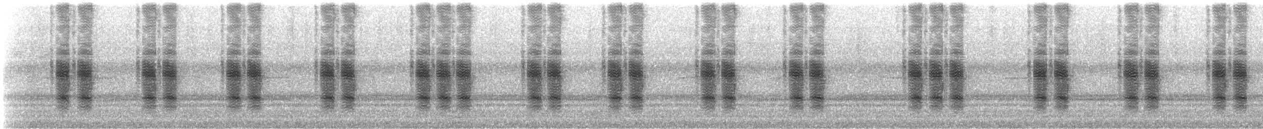 Common True Katydid - ML307142