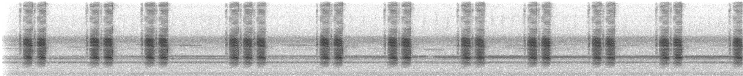 Common True Katydid - ML307145