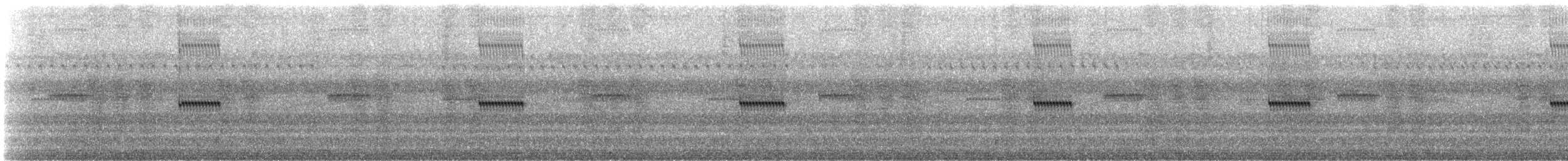 Jumping Bush Cricket - ML307147