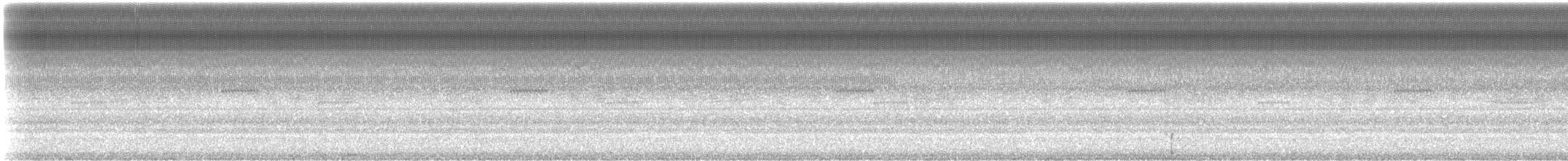 Round-tipped Conehead - ML307149