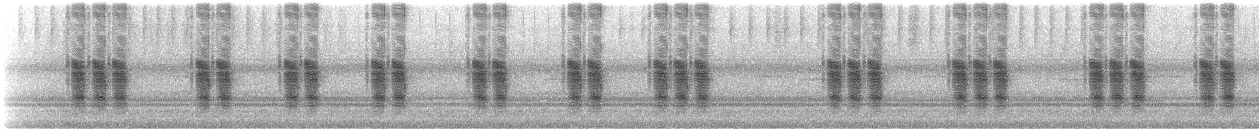 Common True Katydid - ML307150