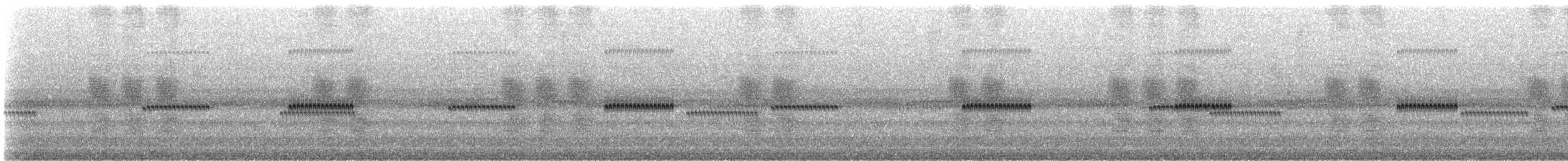 Jumping Bush Cricket - ML307174