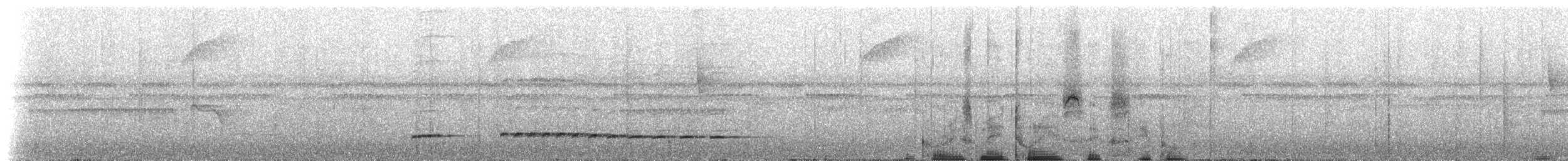 Graubrust-Ameisendrossel [analis-Gruppe] - ML307201