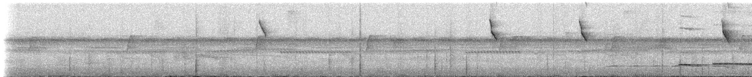 Бородатый колибри-отшельник - ML307238