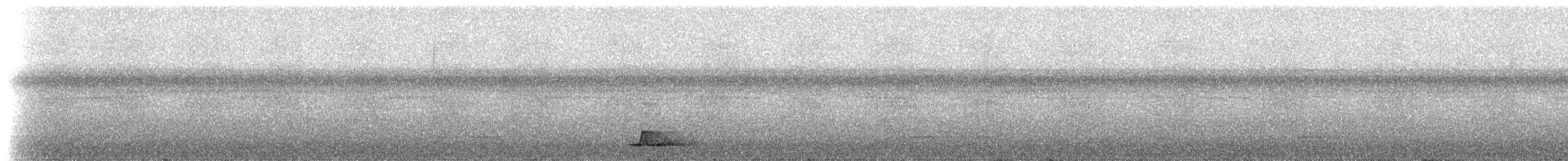 Black-capped Tinamou - ML307258