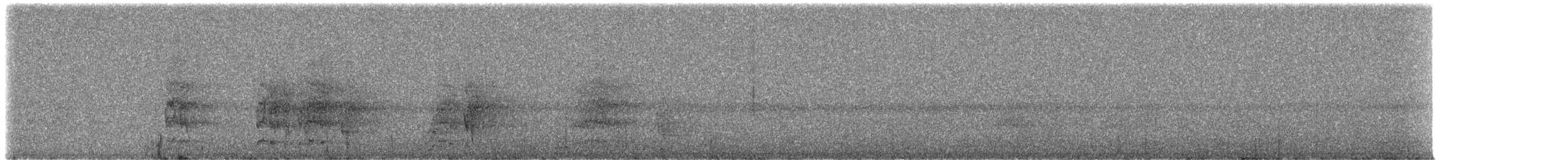 Чернокрылый лорито - ML307341