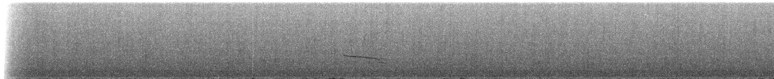 Ockerbrust-Ameisenpitta - ML307380