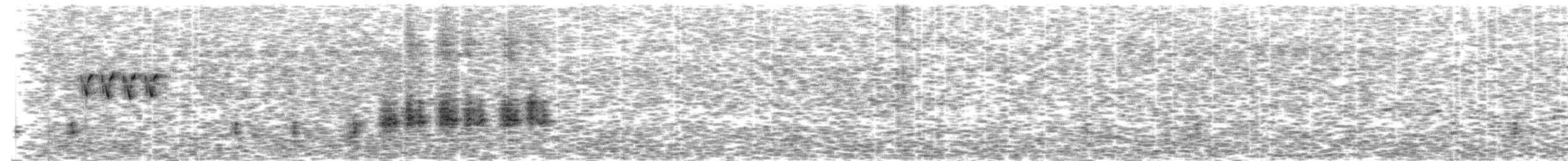 Clamorous Reed Warbler - ML307392541