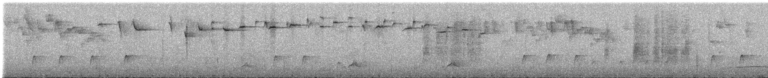 Ultramarin-Hakenschnabel - ML307406