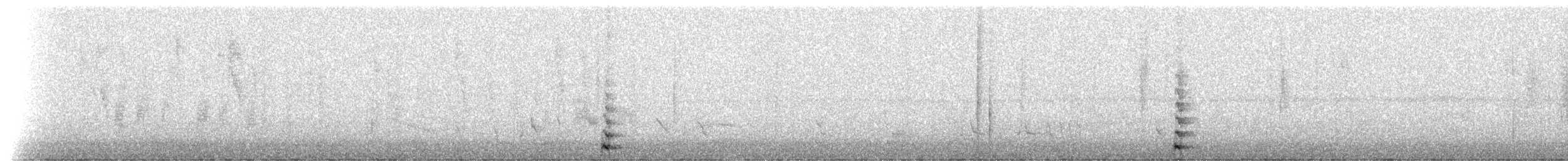 Common Gallinule - ML307433