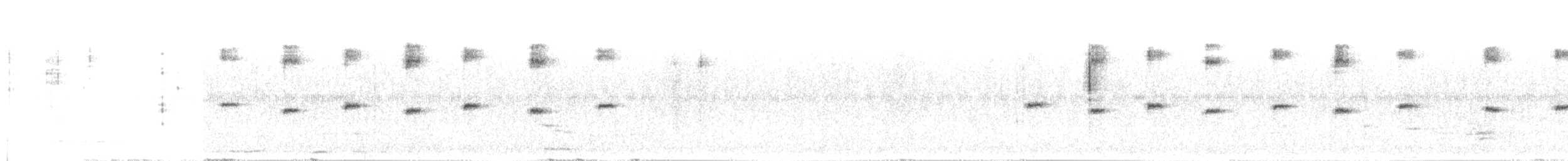 Ak Kulaklı Kolibri - ML307441911