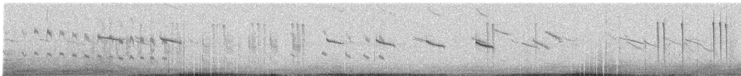 Colibri cora - ML307446