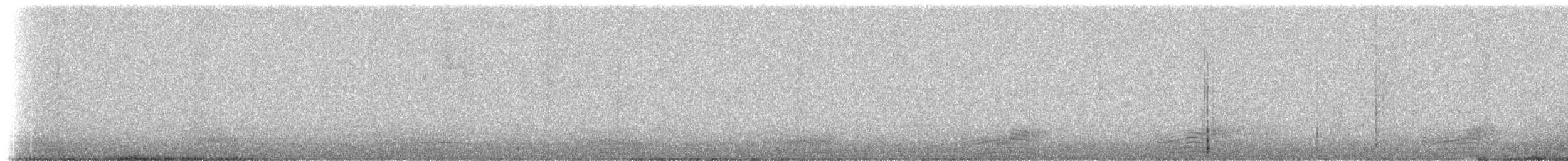potápka bělouchá - ML307447