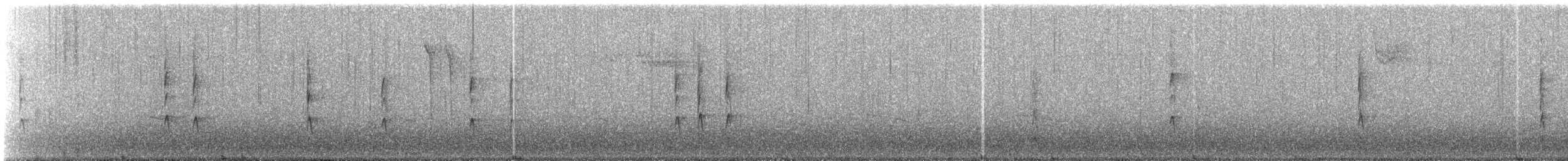 Winter Wren - ML307452891