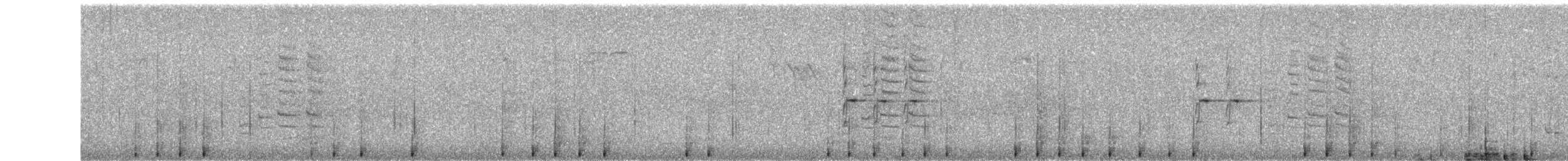 Большой пёстрый дятел - ML307474591