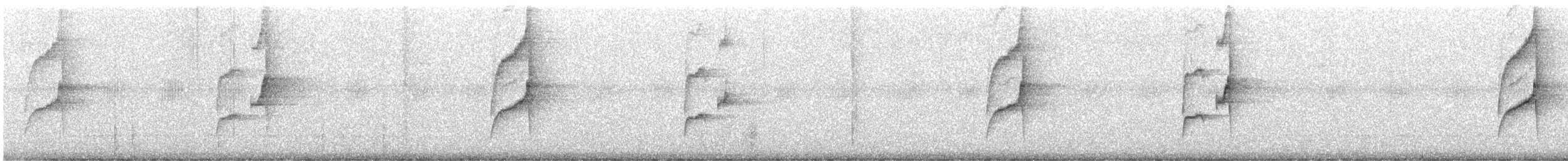 Gray-bellied Spinetail - ML307475281