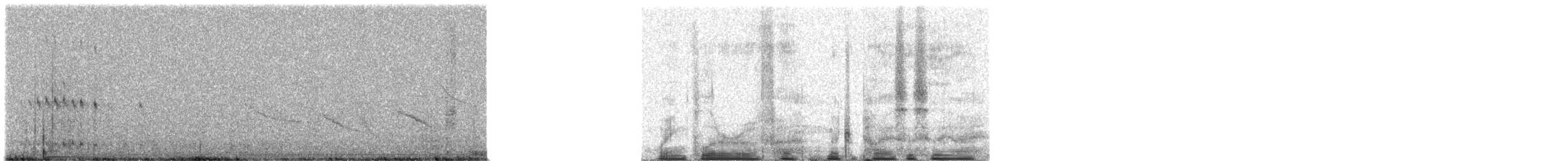 Bare-faced Ground Dove - ML307490