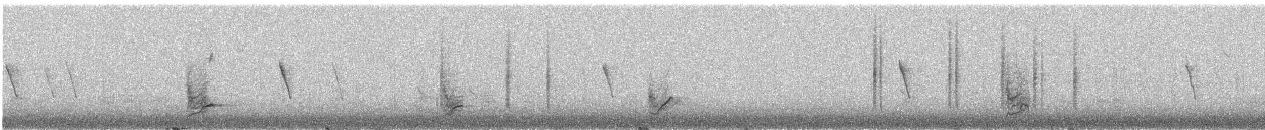 kometka vidloocasá - ML307556