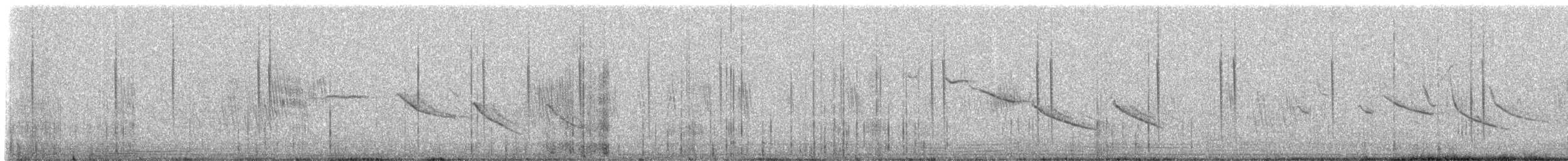Colibri vesper - ML307570