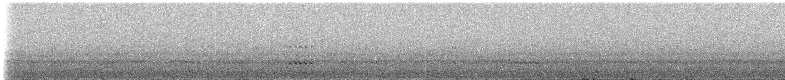 Андская совка (koepckeae) - ML307571
