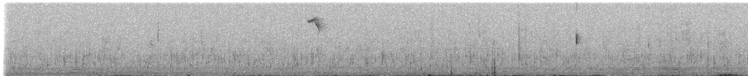 Черноухий колибри (maculata) - ML307584