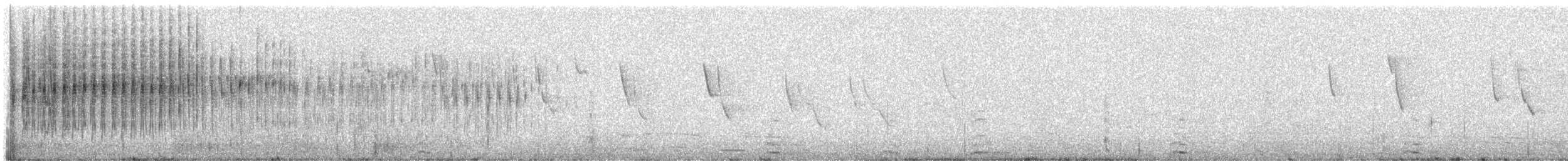 flekkbryststifthale (undescribed La Libertad form) - ML307642