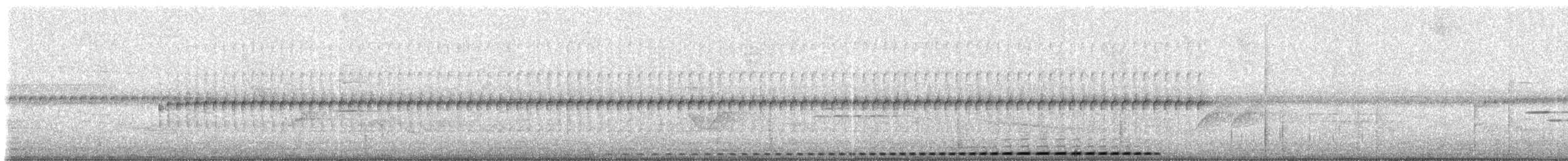 Kehlband-Ameisenpitta - ML307667