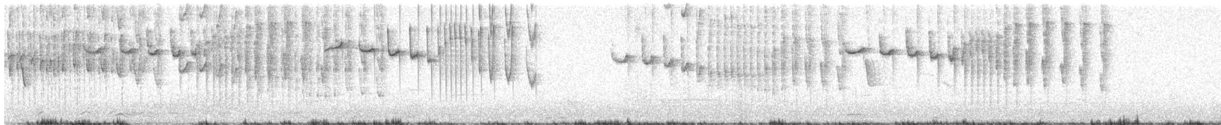 Uzun Kuyruklu Kolibri - ML307733011
